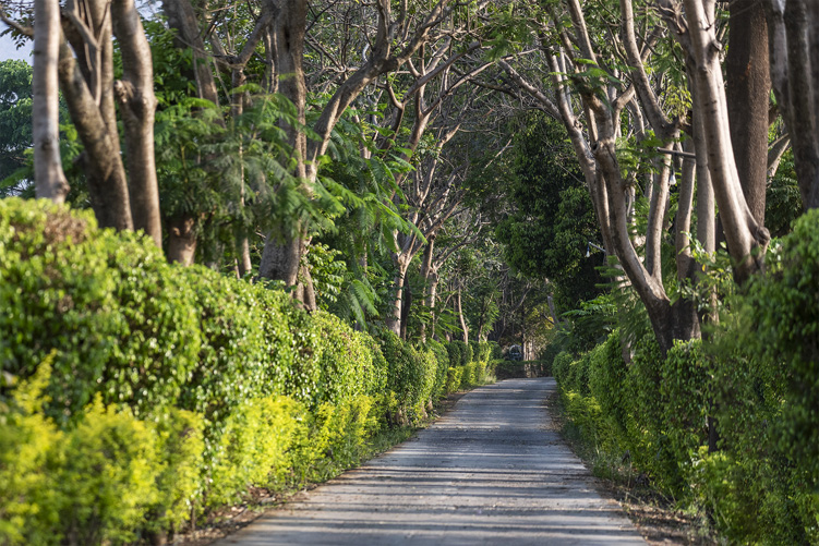 Palmwoods Retreat